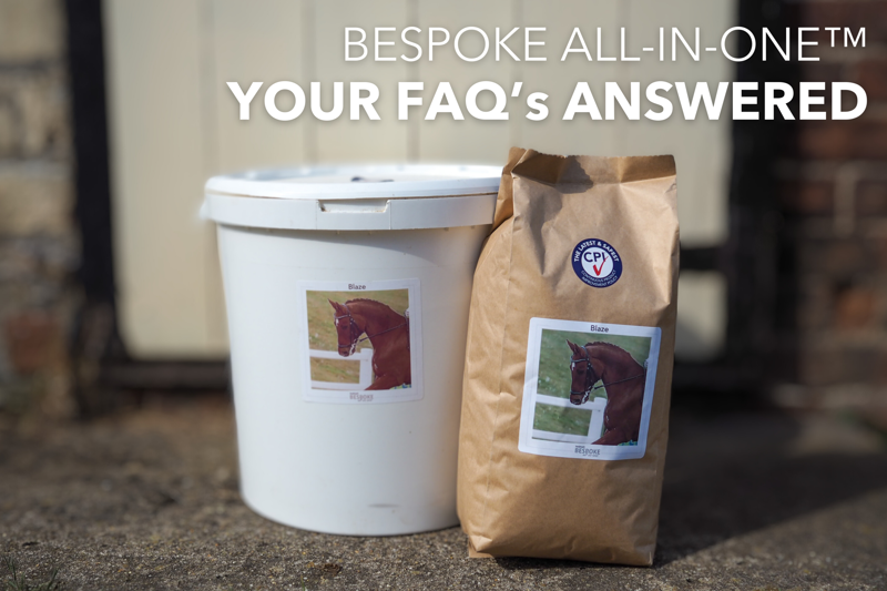 Bespoke Horse Supplements: Tailored Nutrition and Your Top Questions Answered